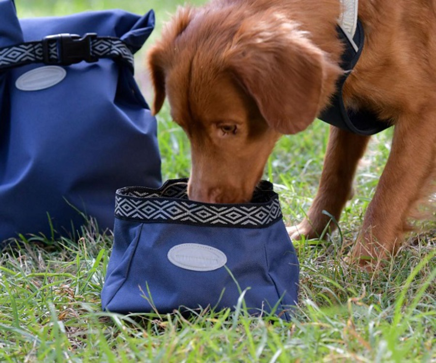 Weatherbeeta Explorer Dog Water/Feed Bowl image 0